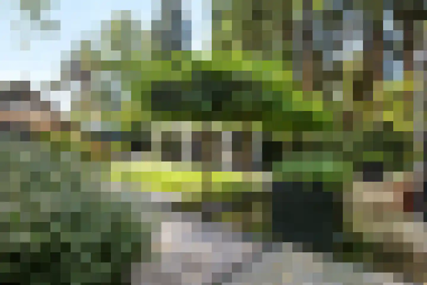 Driehoek 33 Apeldoorn thumbnail 58