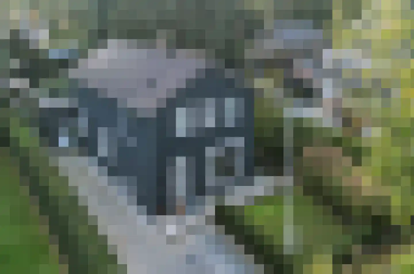 Driehoek 33 Apeldoorn thumbnail 63
