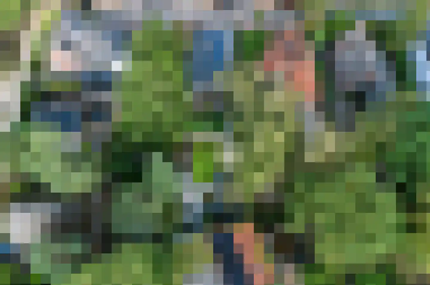 Driehoek 33 Apeldoorn thumbnail 66