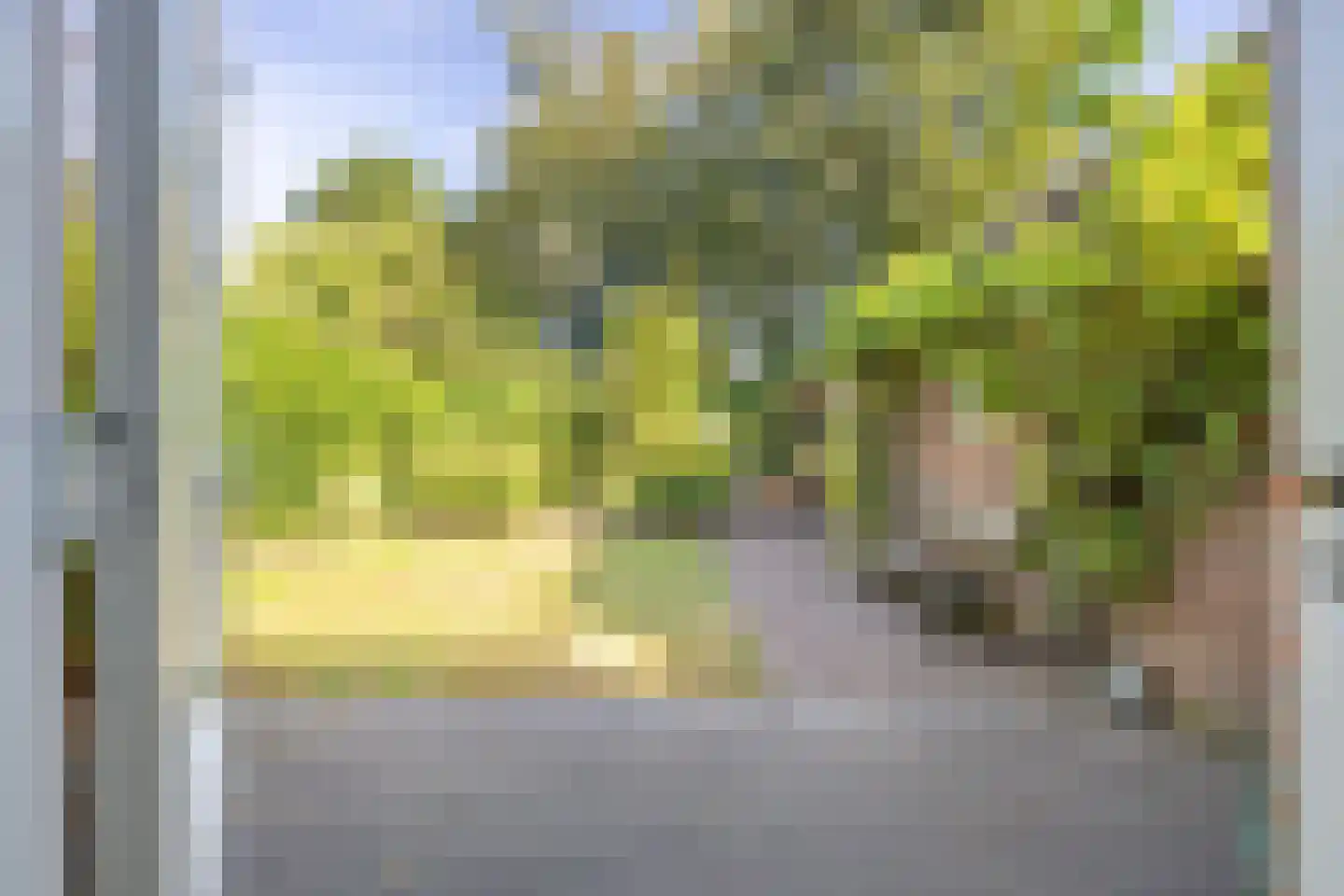 Driehoek 38 Bavel thumbnail 58