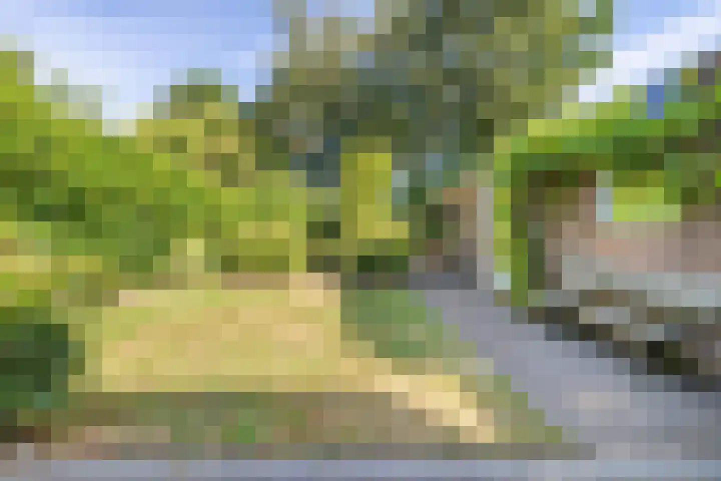 Driehoek 38 Bavel thumbnail 61