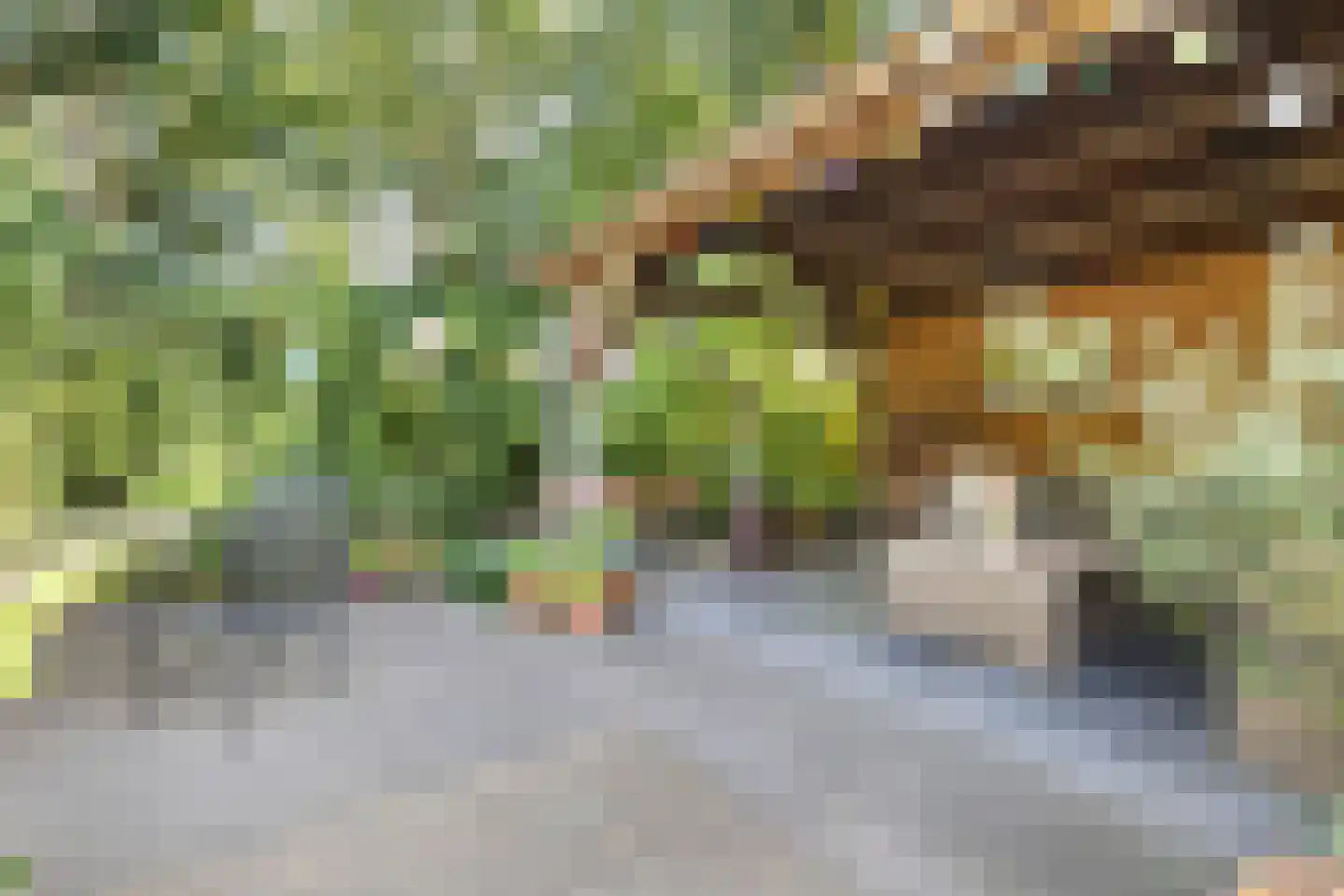 Driehoek 38 Bavel thumbnail 63