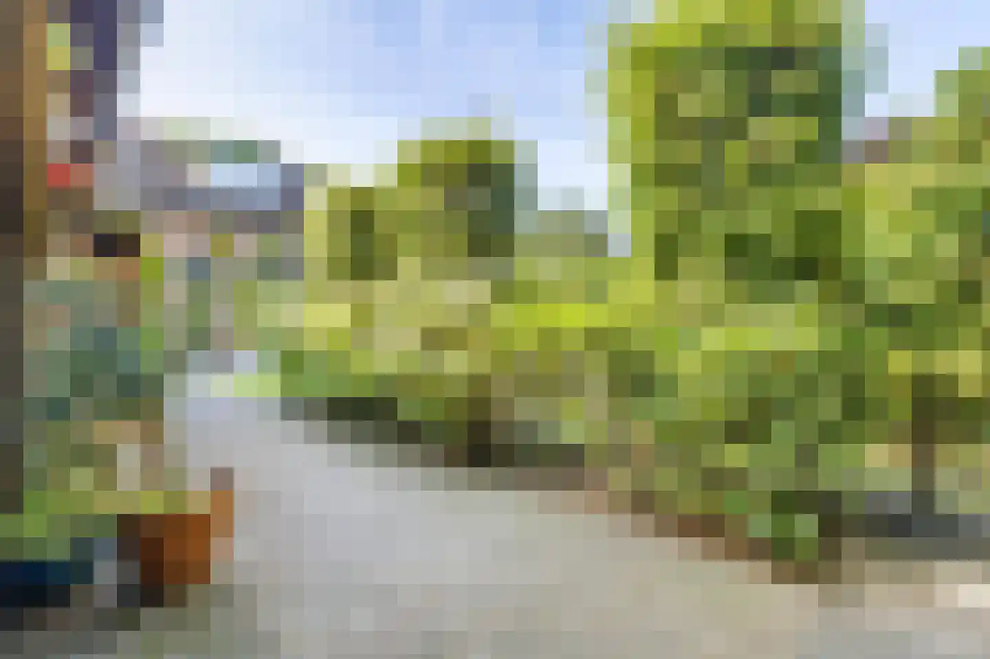 Driehoek 38 Bavel thumbnail 64