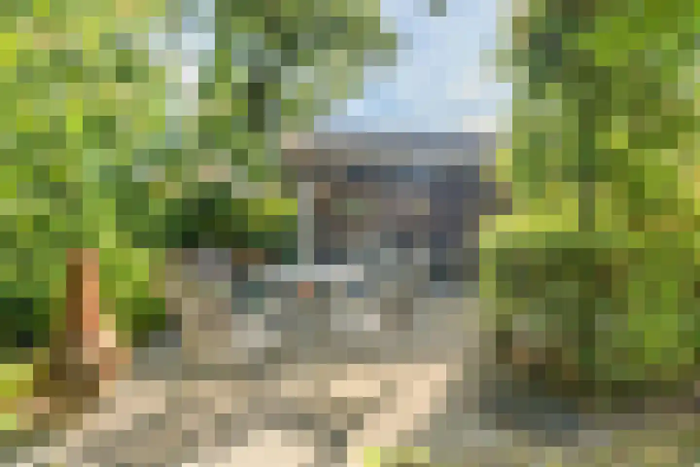 Driehoek 38 Bavel thumbnail 66