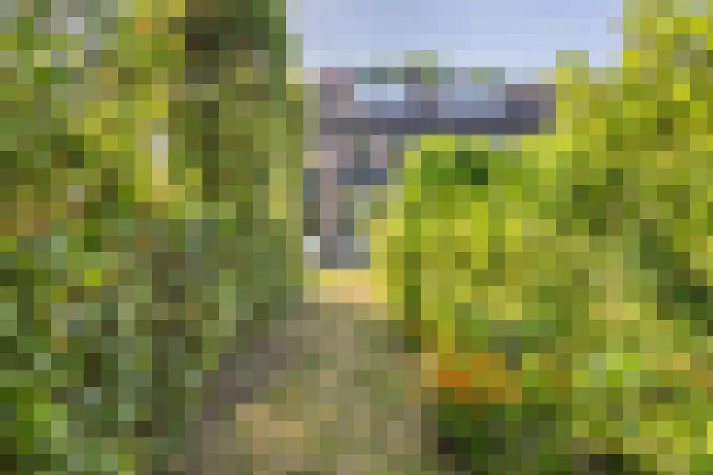 Driehoek 38 Bavel thumbnail 67