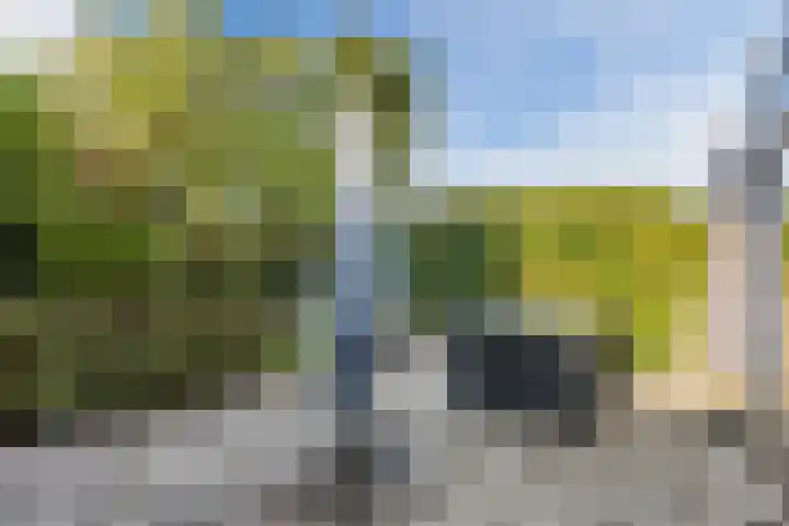 Driehoek 40 Bavel thumbnail 17