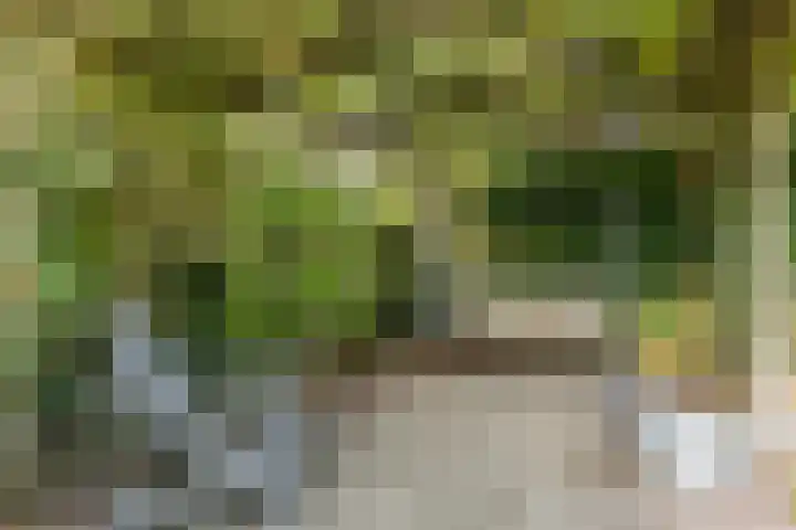 Driehoek 40 Bavel thumbnail 21