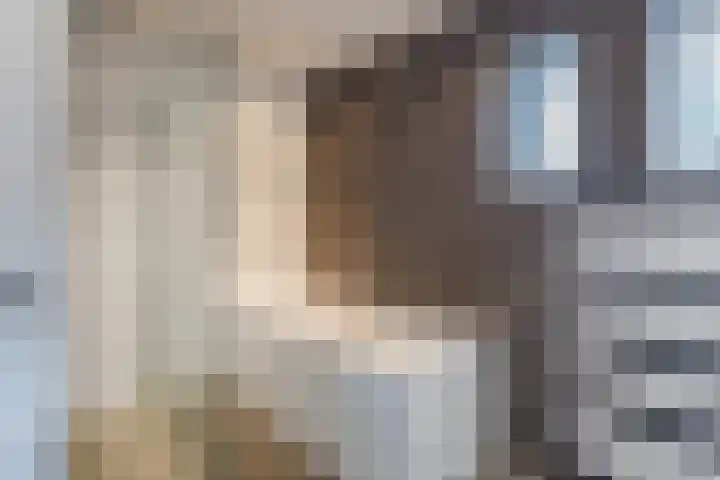 Driehoek 40 Bavel thumbnail 32