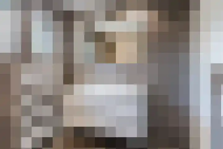 Driehoek 40 Bavel thumbnail 33