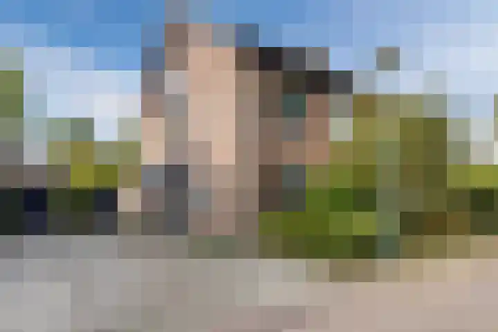 Driehoek 40 Bavel thumbnail 38
