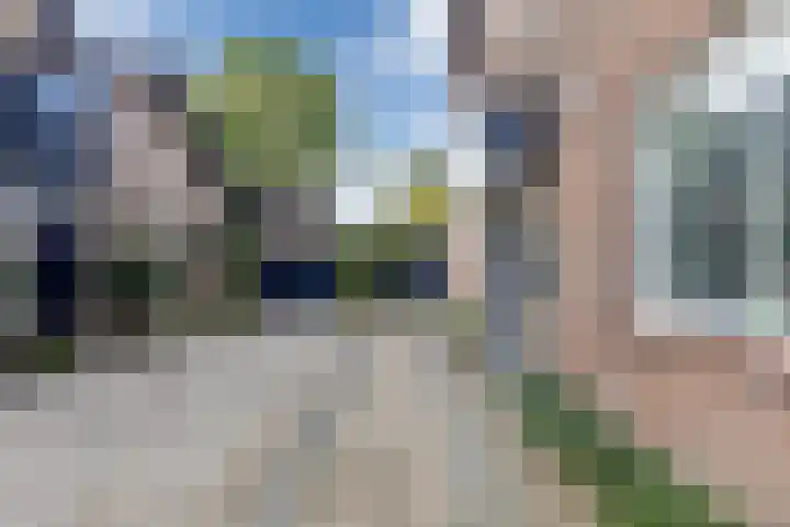 Driehoek 40 Bavel thumbnail 39