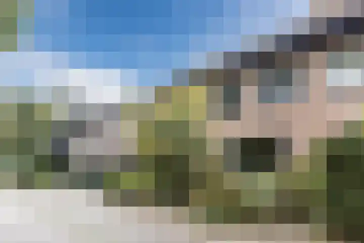 Driehoek 40 Bavel thumbnail 41