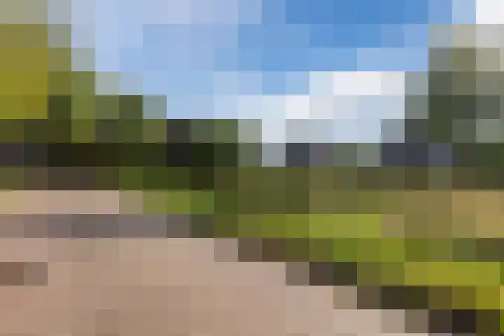 Driehoek 40 Bavel thumbnail 42