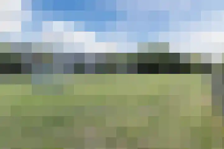 Driehoek 40 Bavel thumbnail 43
