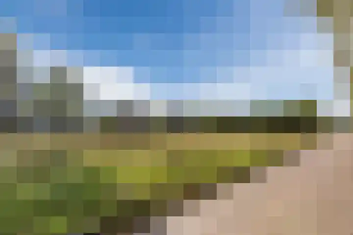 Driehoek 40 Bavel thumbnail 44