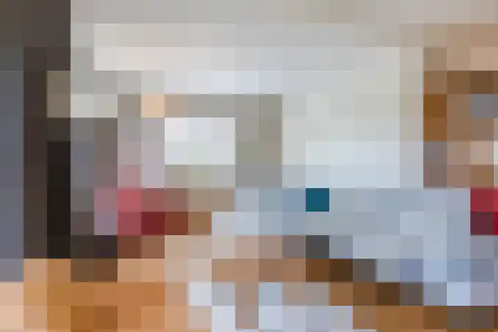 Driehoek 40 Bavel thumbnail 6