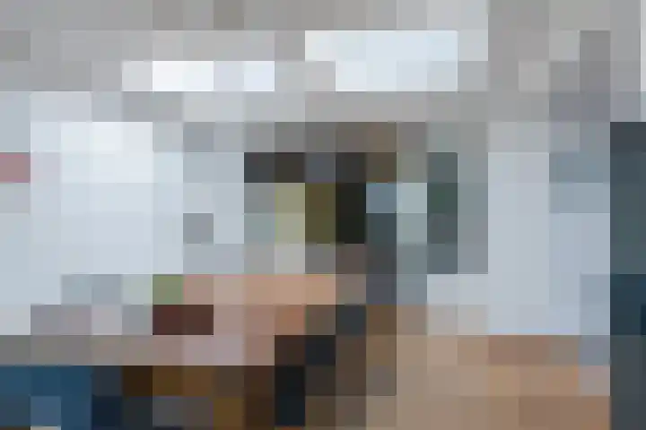 Driehoek 40 Bavel thumbnail 9
