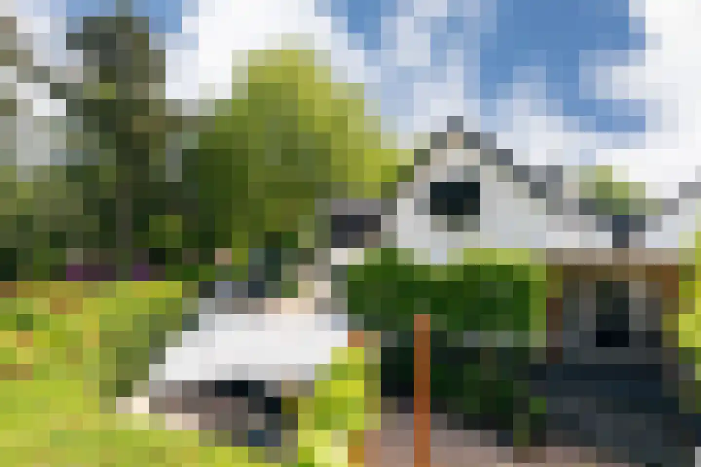 Driehoek 44 Ede thumbnail 16