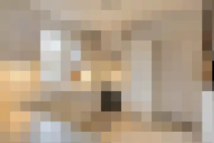 Driehoek 5 Oploo thumbnail 11