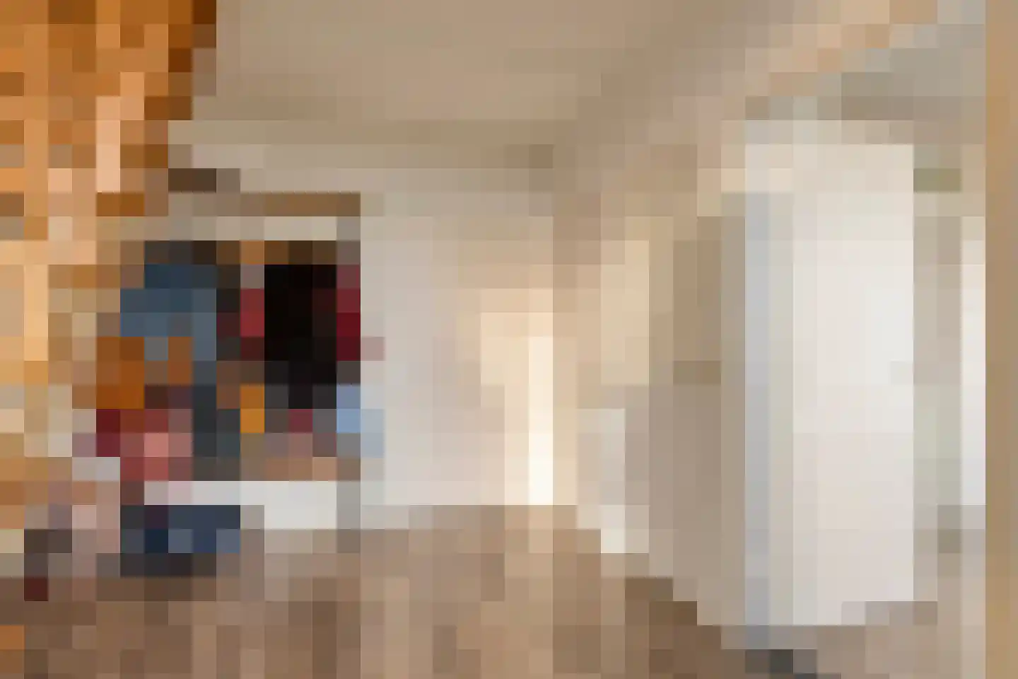 Driehoek 5 Oploo thumbnail 18