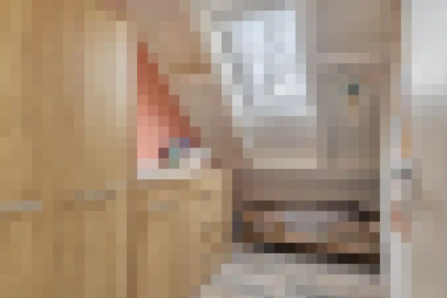 Driehoek 5 Oploo thumbnail 30