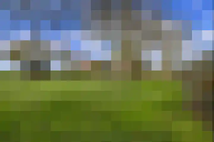 Driehoek 5 Oploo thumbnail 42