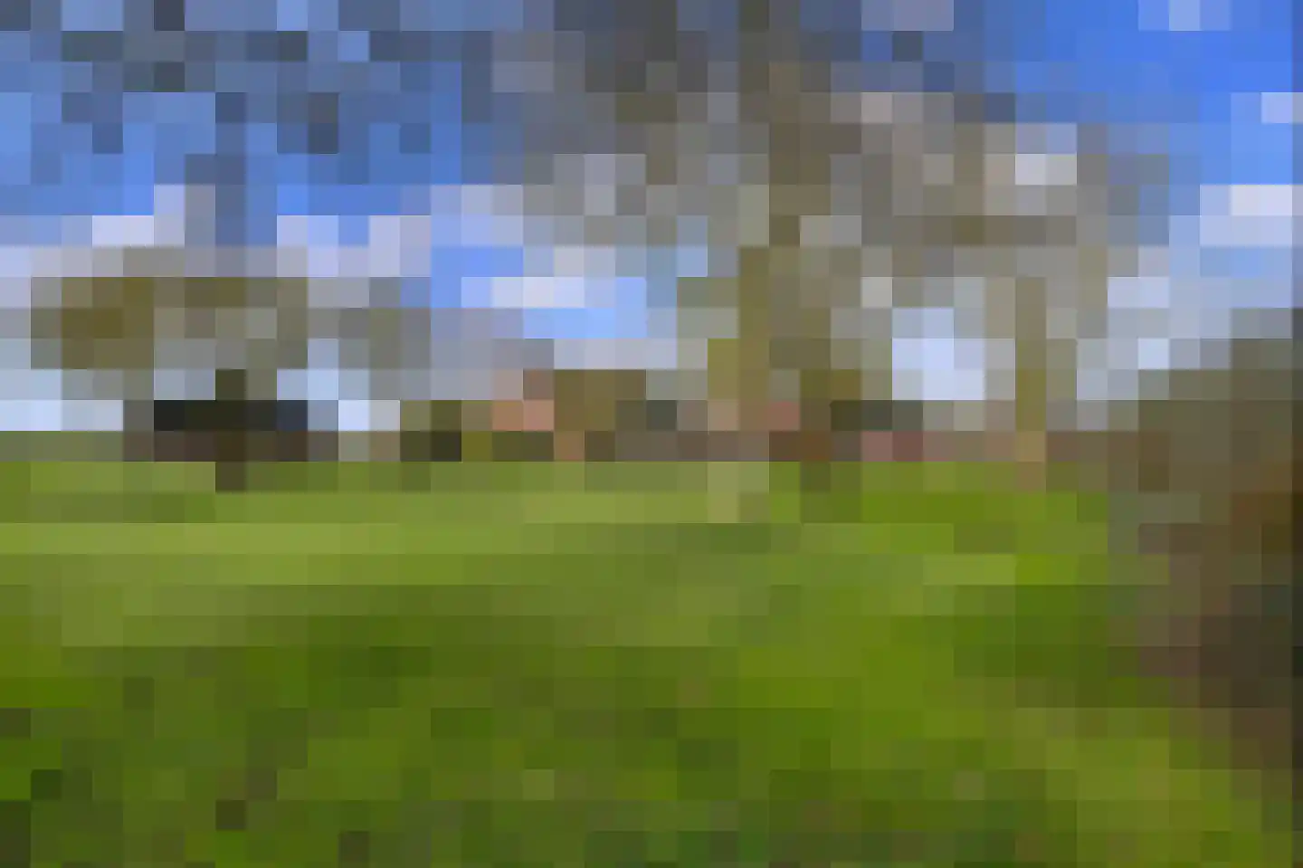 Driehoek 5 Oploo thumbnail 42