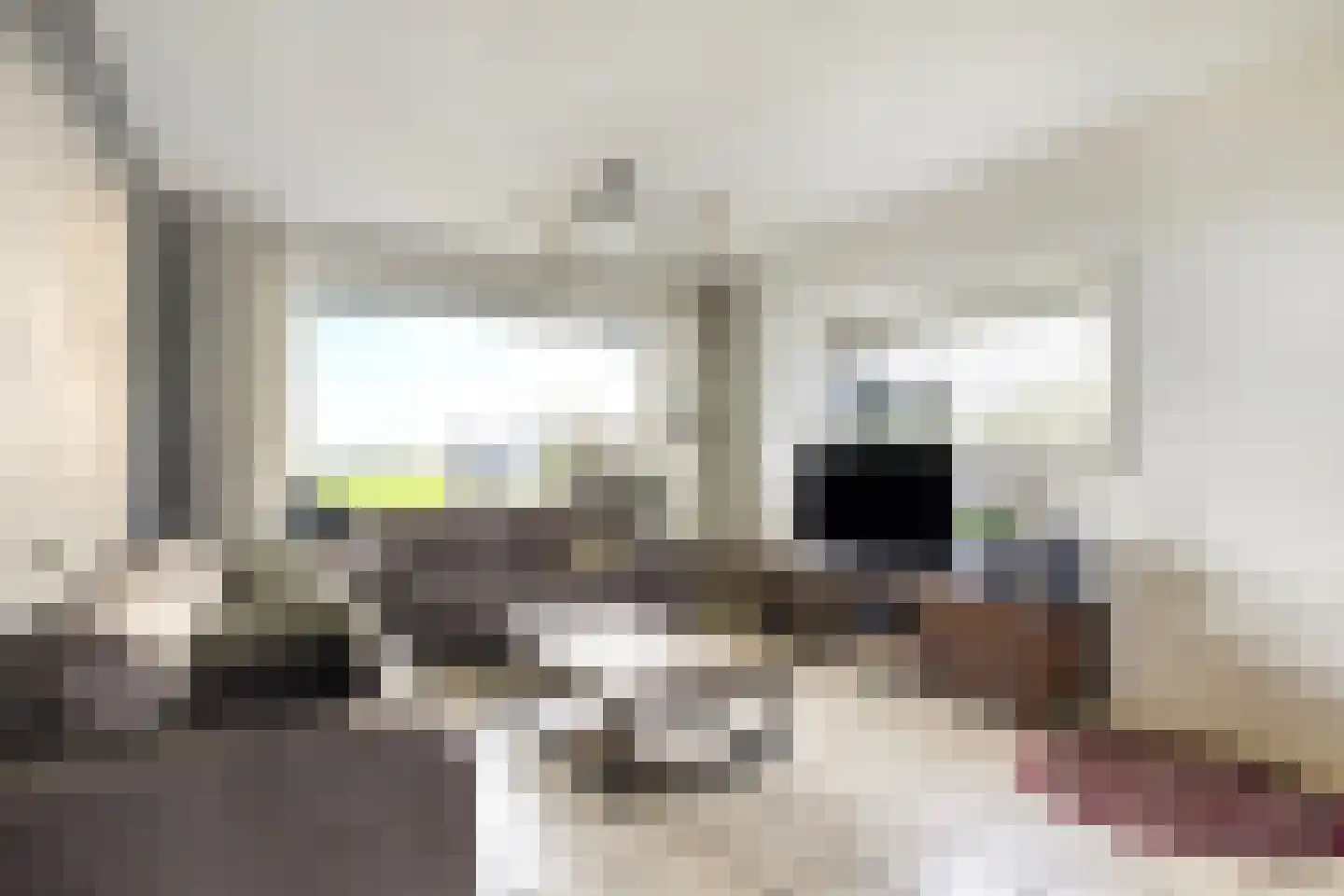 Driehoek 5 Oploo thumbnail 5
