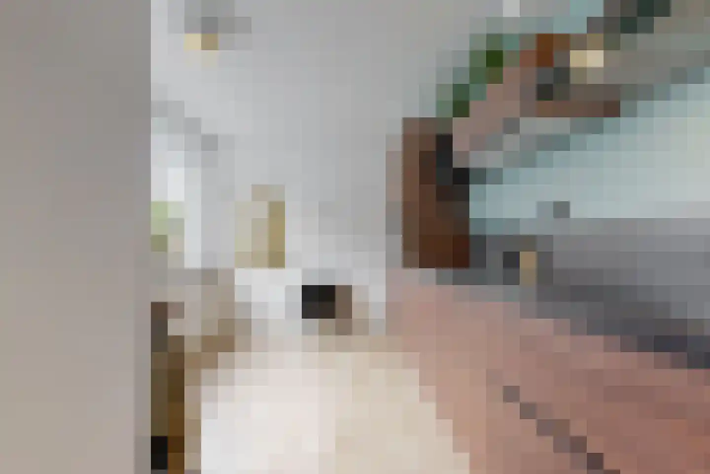 Driehoekslaan 10 Maarssen thumbnail 11