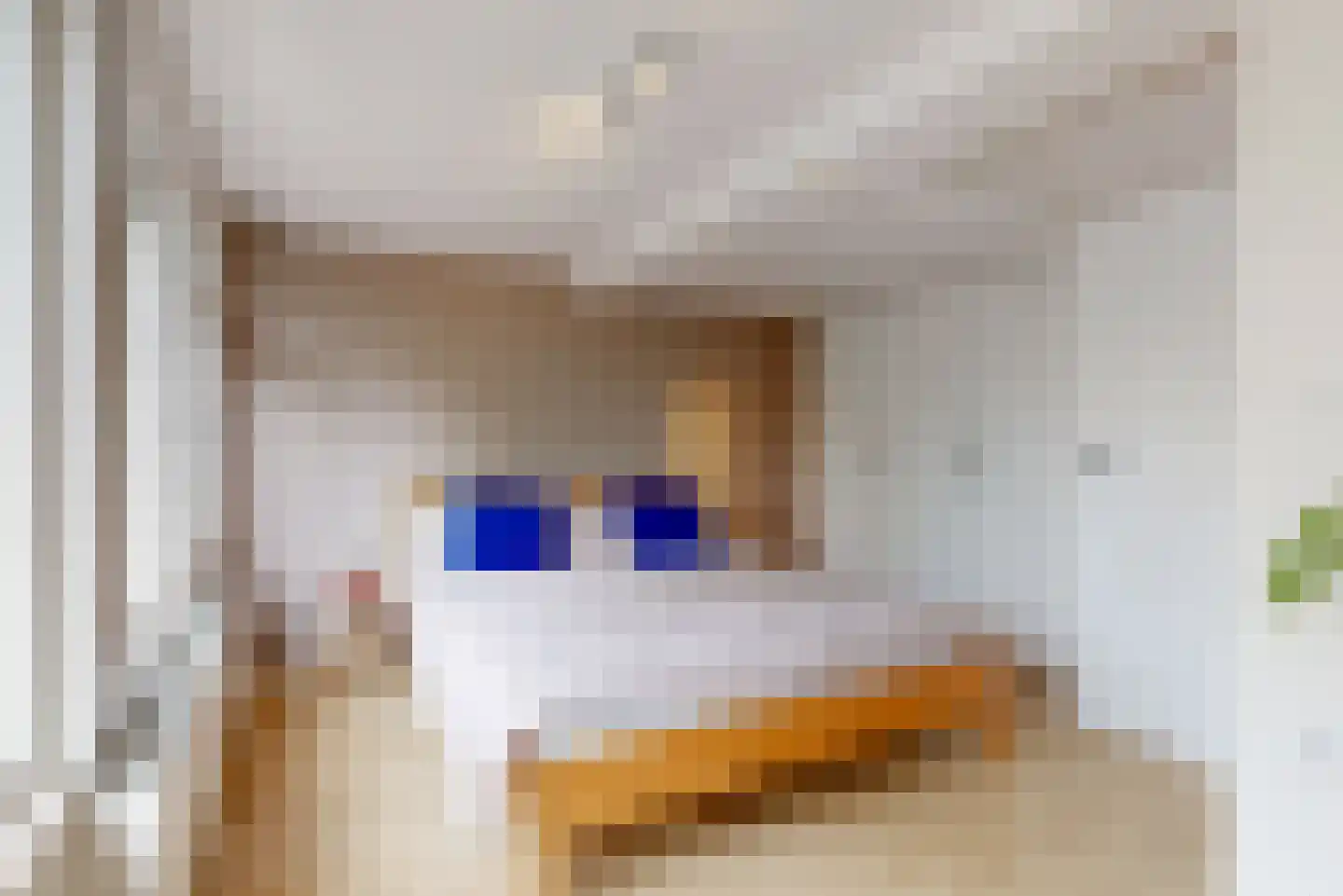 Driehoekslaan 10 Maarssen thumbnail 19
