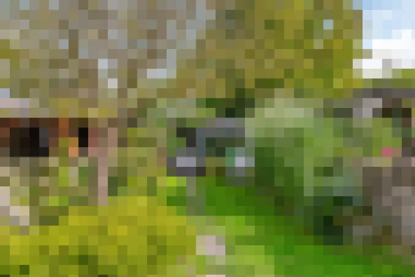 Driehoekslaan 10 Maarssen thumbnail 37