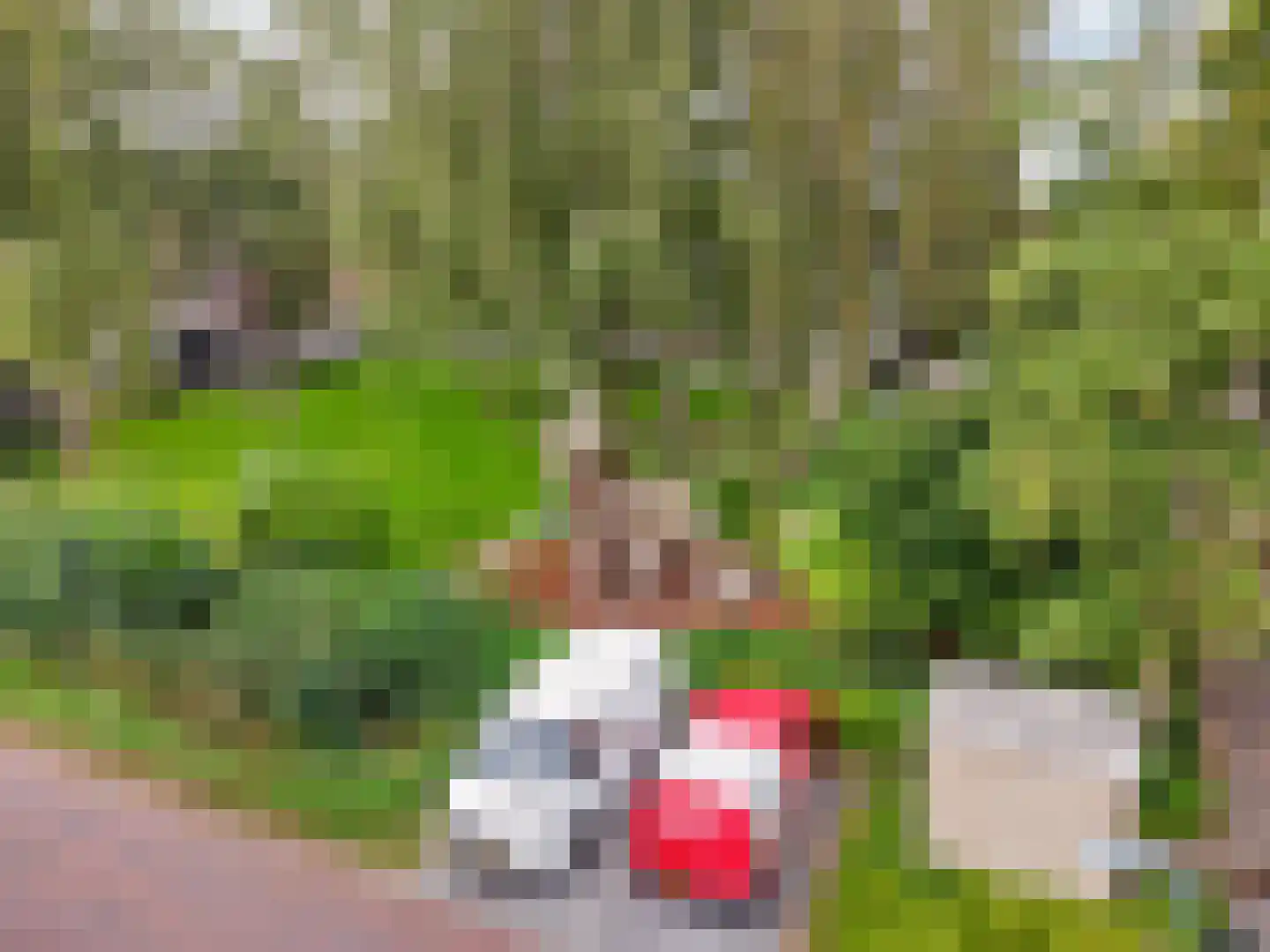 Driehoekslaan 10 Maarssen thumbnail 42