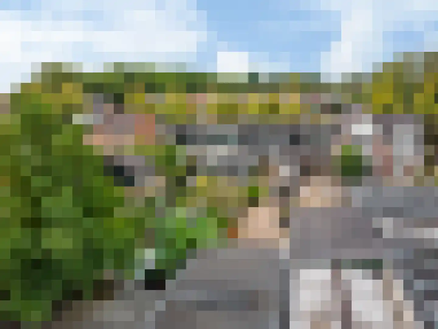 Driehoekslaan 10 Maarssen thumbnail 43