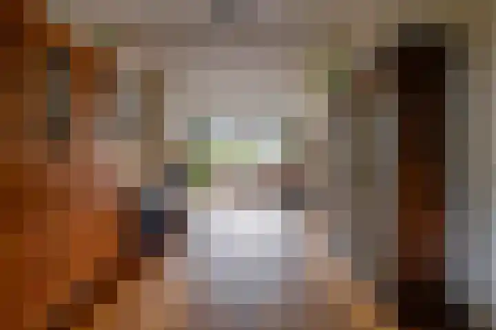 Driehoekslaan 30 Maarssen thumbnail 15