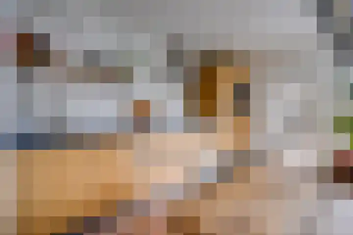 Driehoekslaan 30 Maarssen thumbnail 16