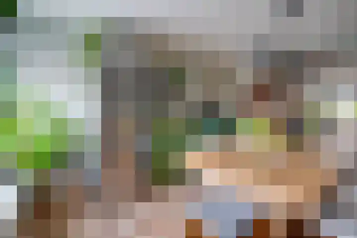 Driehoekslaan 30 Maarssen thumbnail 19