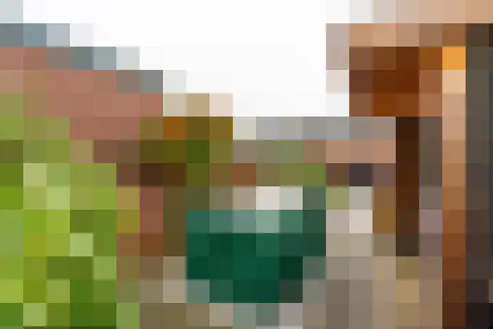 Driehoekslaan 30 Maarssen thumbnail 23