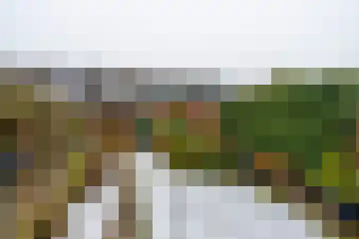 Driehoekslaan 30 Maarssen thumbnail 31