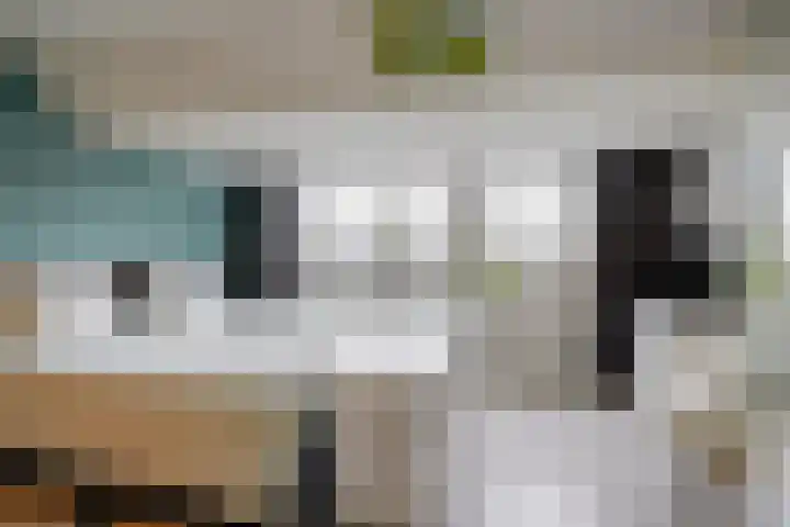 Driehoekslaan 30 Maarssen thumbnail 35
