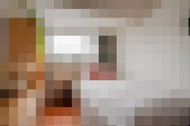 Driehoekslaan 30 Maarssen thumbnail 38
