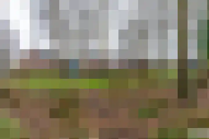 Driehoekslaan 30 Maarssen thumbnail 49