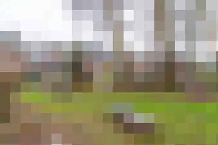 Driehoekslaan 30 Maarssen thumbnail 50
