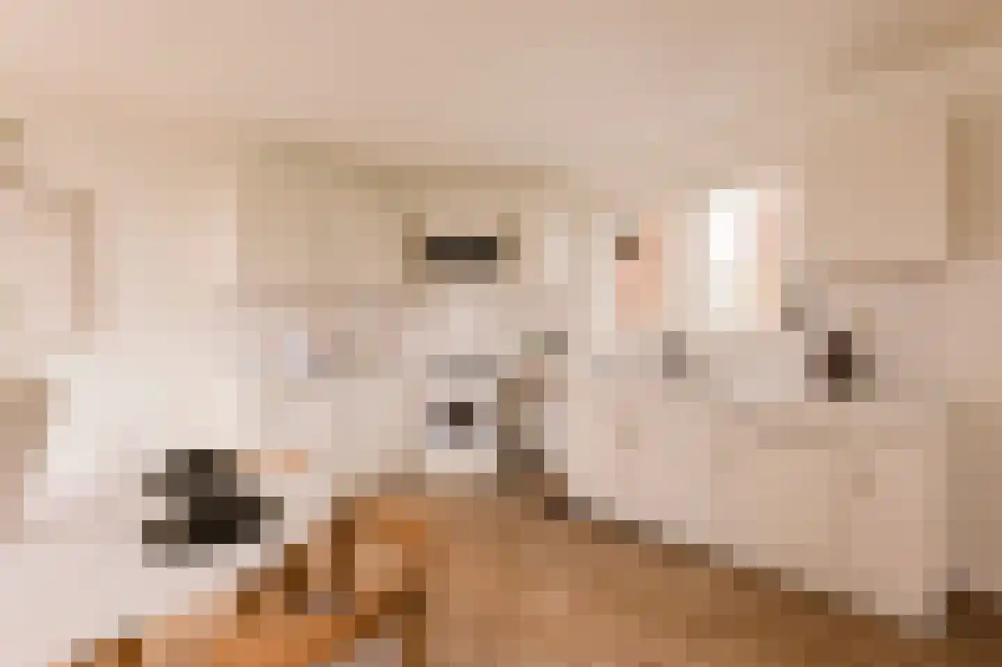 Driehoekstraat 30 Amsterdam thumbnail 6
