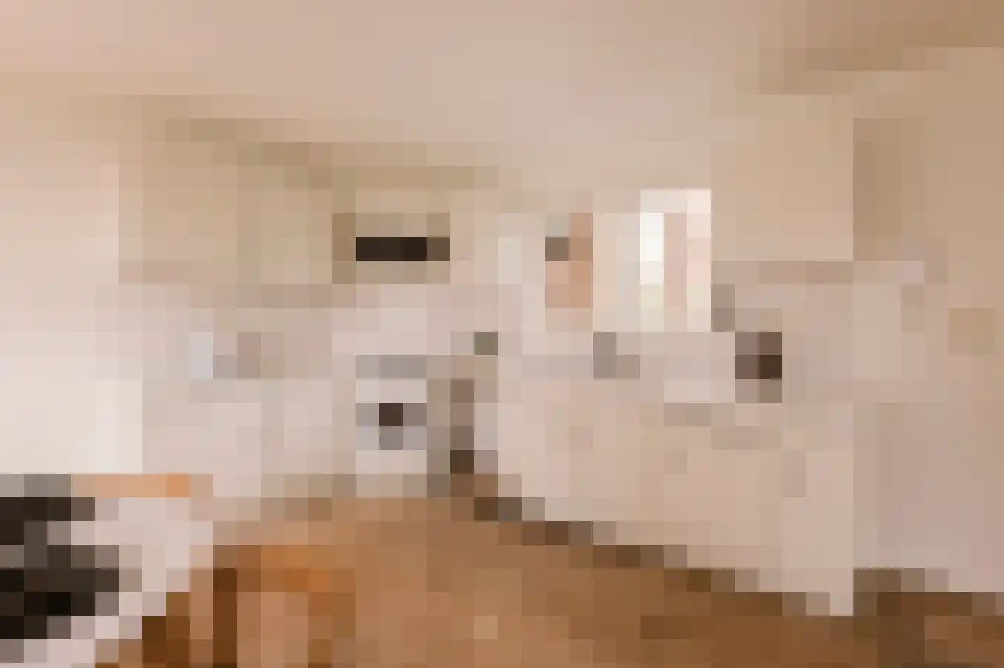 Driehoekstraat 30 Amsterdam thumbnail 9