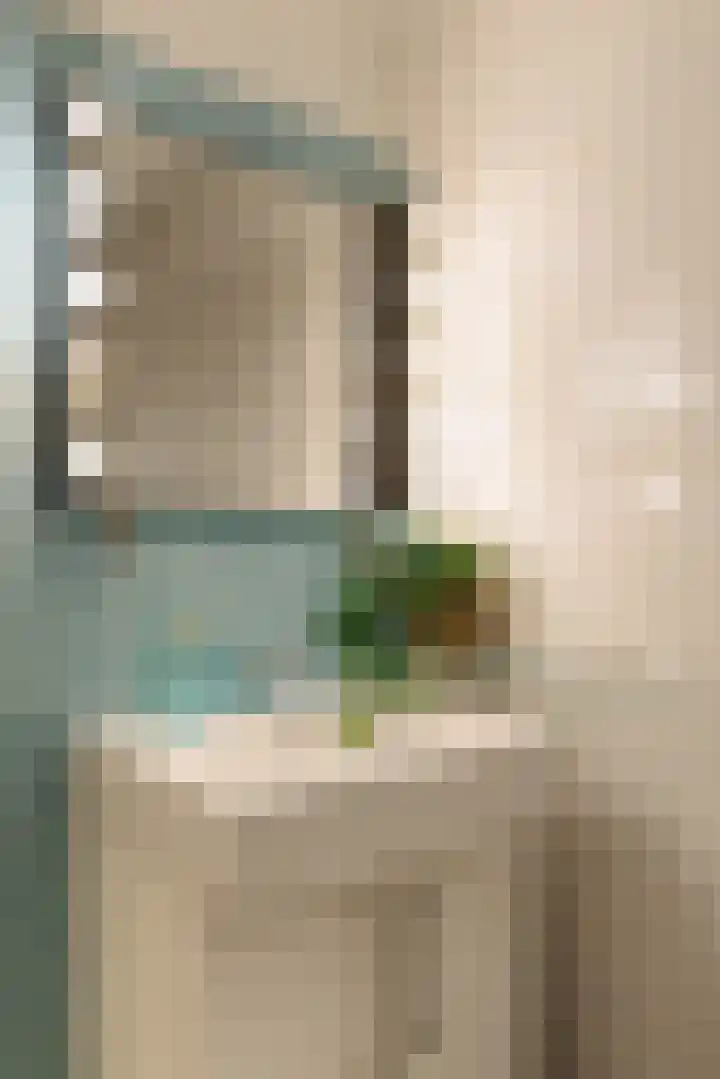 Driehoekstraat 54 Amsterdam thumbnail 17