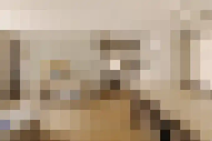 Driehoekstraat 54 Amsterdam thumbnail 4