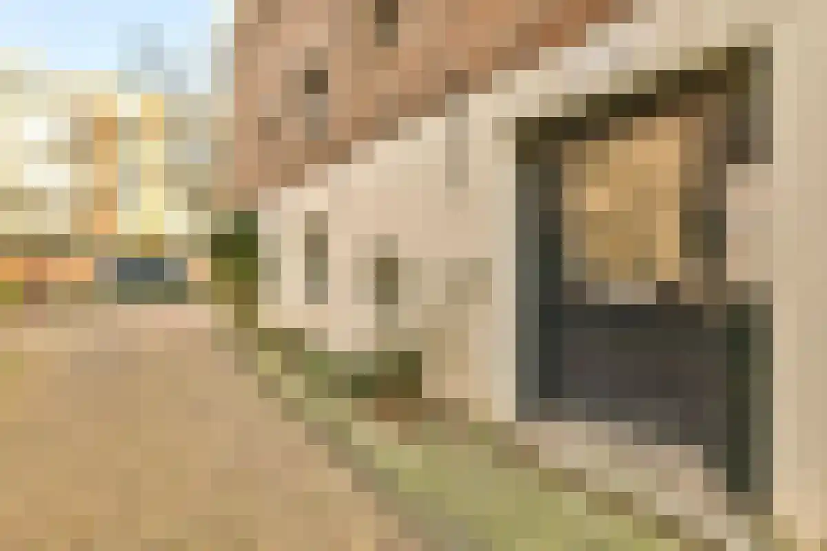 Driehoekstraat 76 Amsterdam thumbnail 4