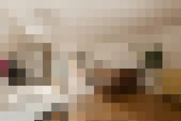 Driehoekstraat 82 Amsterdam thumbnail 5