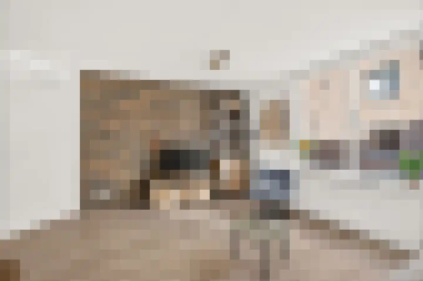 Driehoekstraat 94 Amsterdam thumbnail 11
