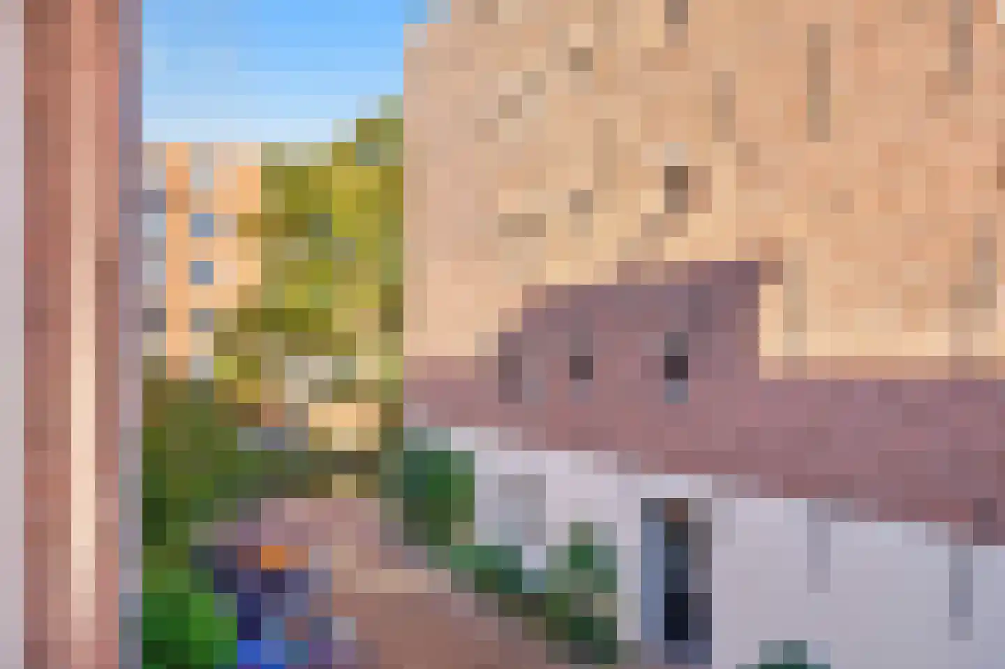 Driehoekstraat 94 Amsterdam thumbnail 30